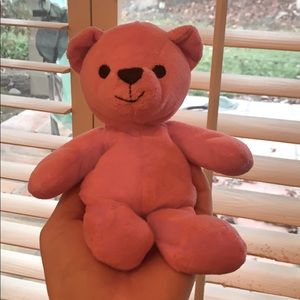 Limited Edition Victoria’s Secret Pink Bear